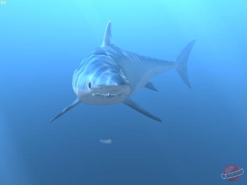 Скриншот из игры Diver: Deep Water Adventures - 1