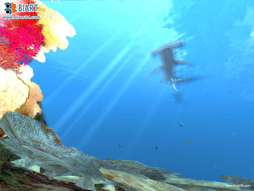 Скриншот из игры Diver: Deep Water Adventures - 27