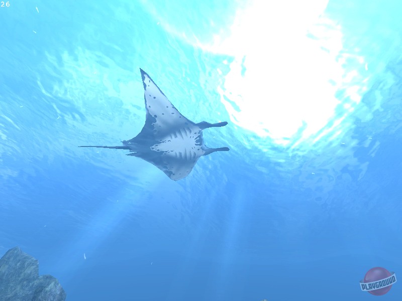 Скриншот из игры Diver: Deep Water Adventures - 16