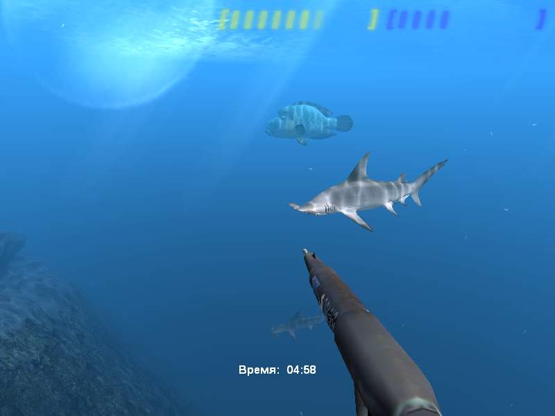 Скриншот из игры Diver: Deep Water Adventures - 156