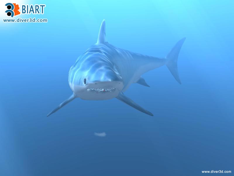 Скриншот из игры Diver: Deep Water Adventures - 41