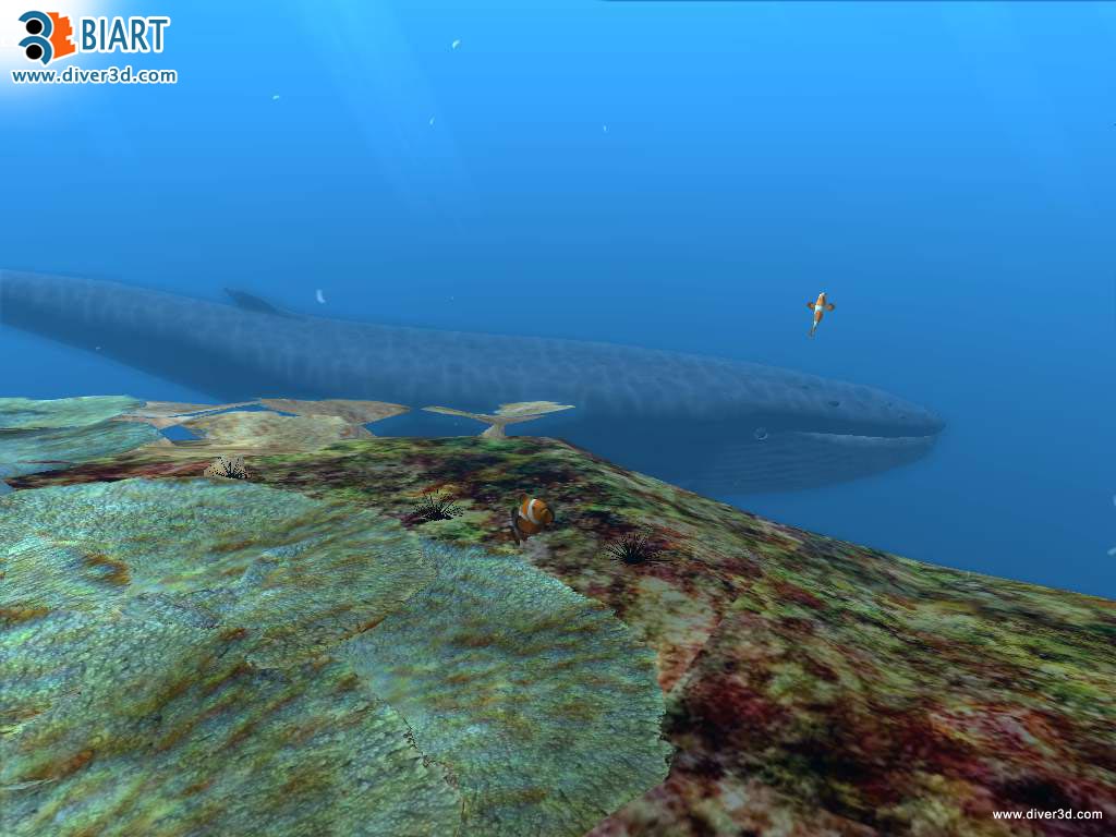 Скриншот из игры Diver: Deep Water Adventures - 80