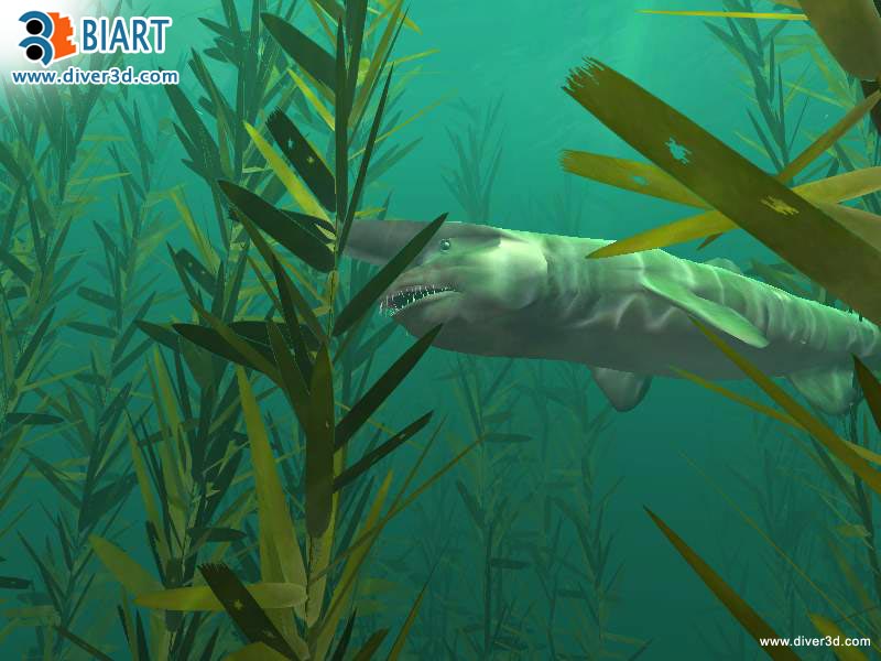 Скриншот из игры Diver: Deep Water Adventures - 100