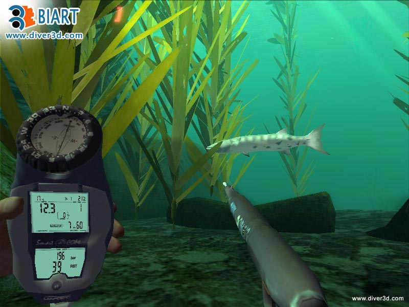 Скриншот из игры Diver: Deep Water Adventures - 49