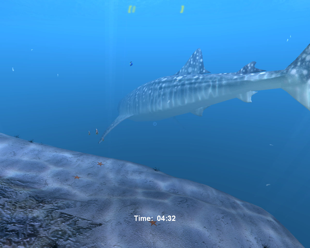 Скриншот из игры Diver: Deep Water Adventures - 176