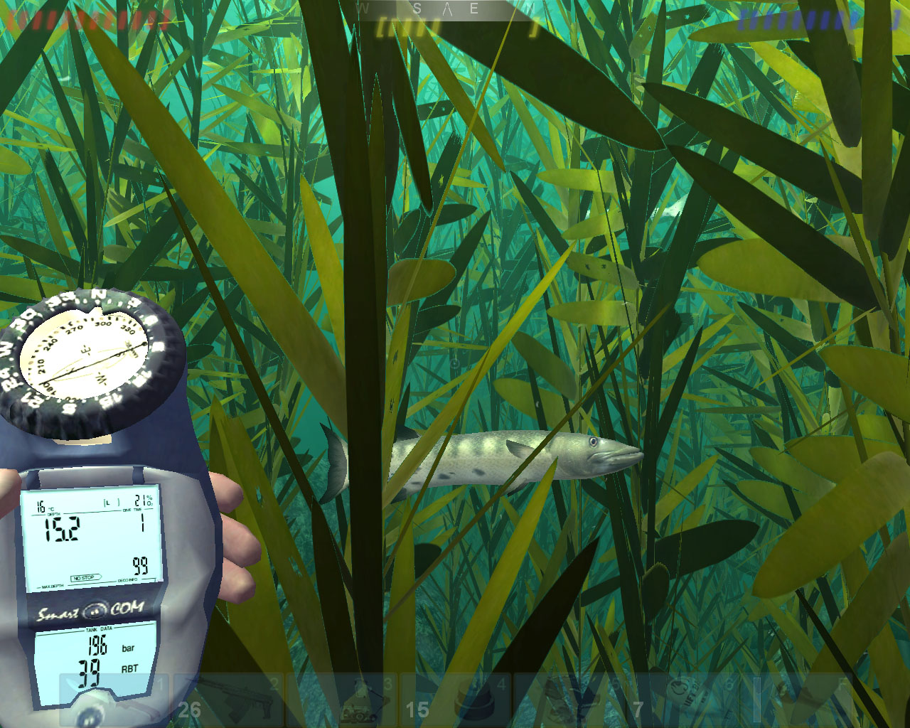 Скриншот из игры Diver: Deep Water Adventures - 56