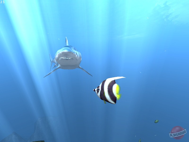 Скриншот из игры Diver: Deep Water Adventures - 5