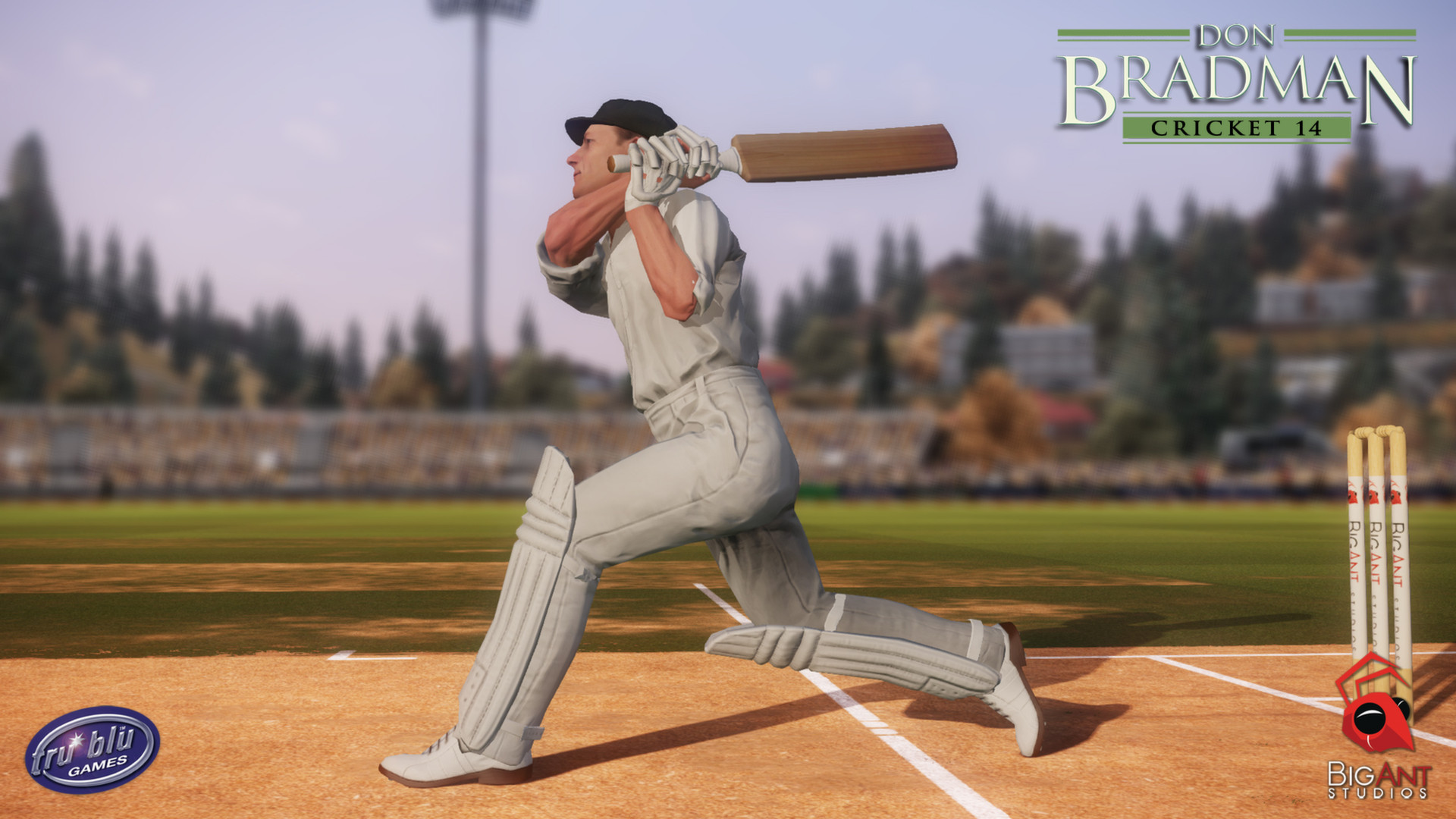 Скриншот из игры Don Bradman Cricket 14 - 13