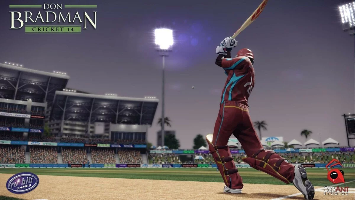 Скриншот из игры Don Bradman Cricket 14 - 23