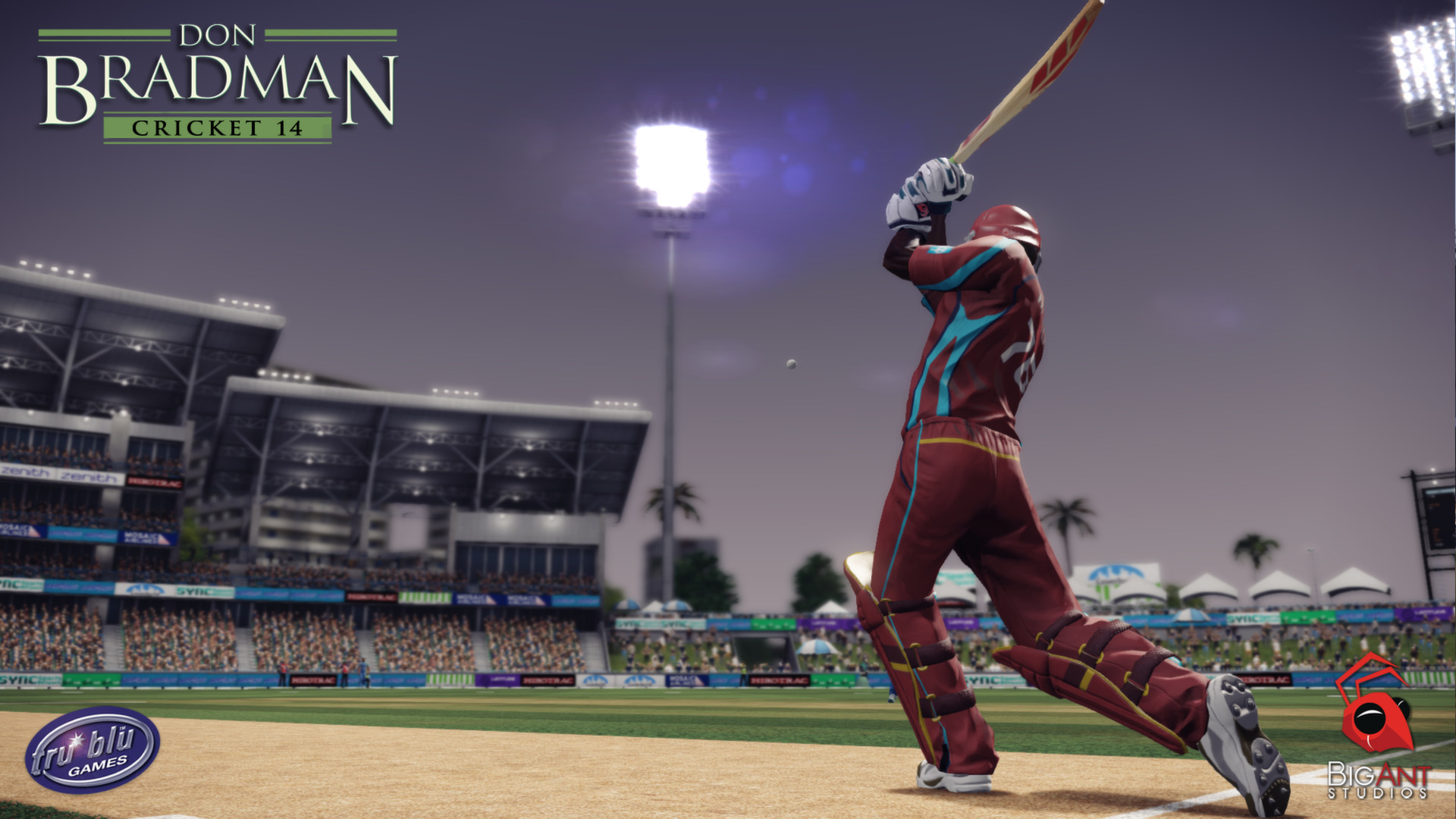 Скриншот из игры Don Bradman Cricket 14 - 36