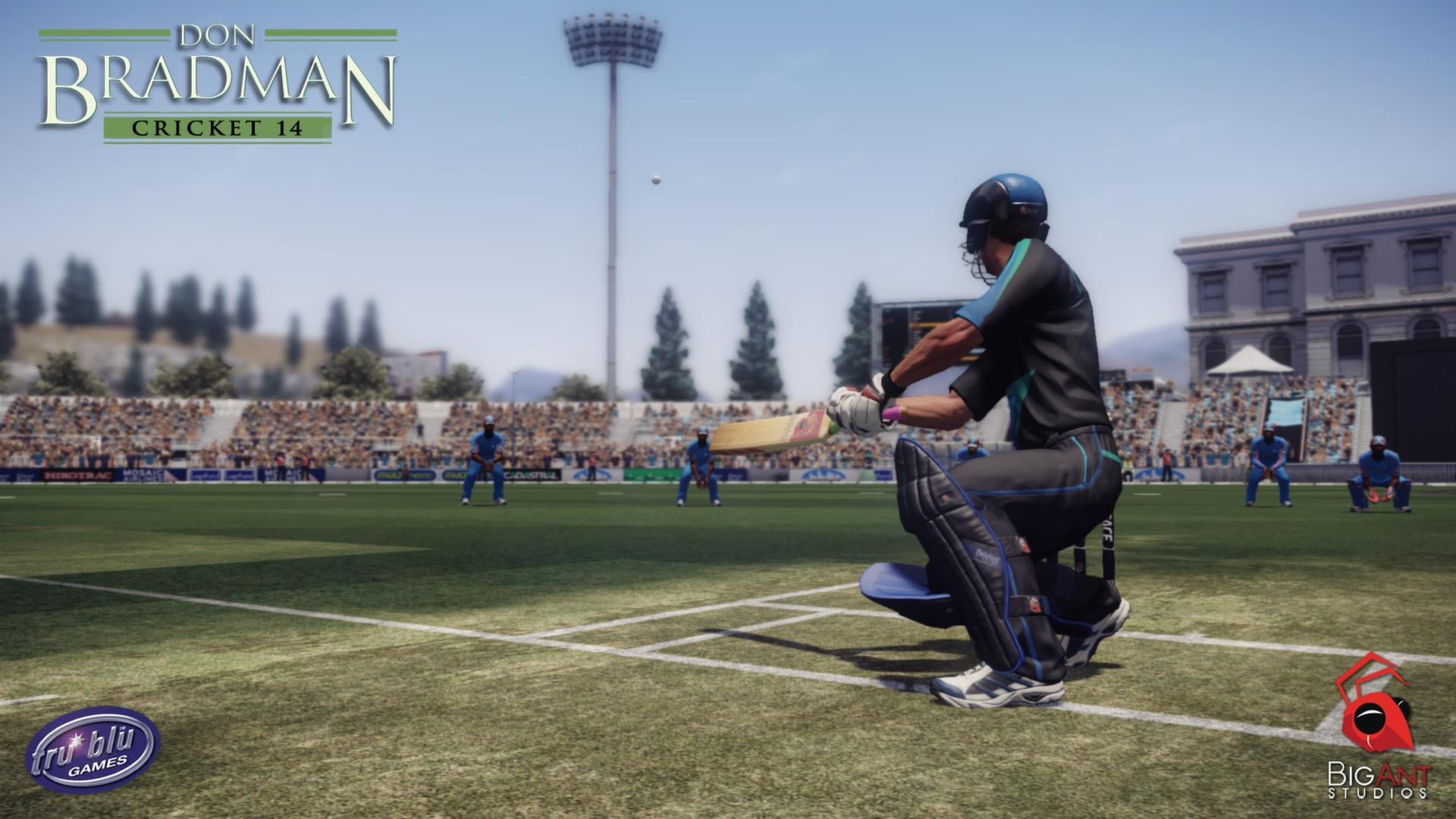 Скриншот из игры Don Bradman Cricket 14 - 31