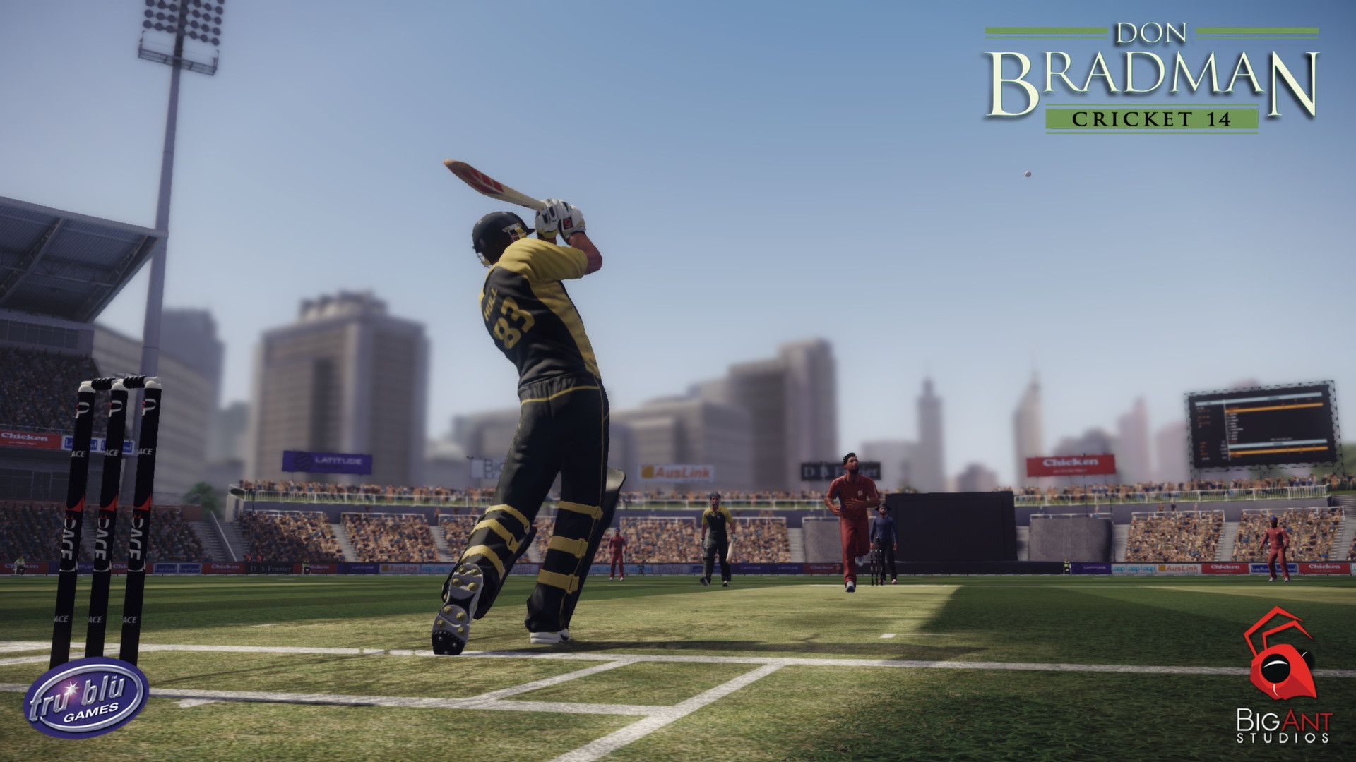 Скриншот из игры Don Bradman Cricket 14 - 21