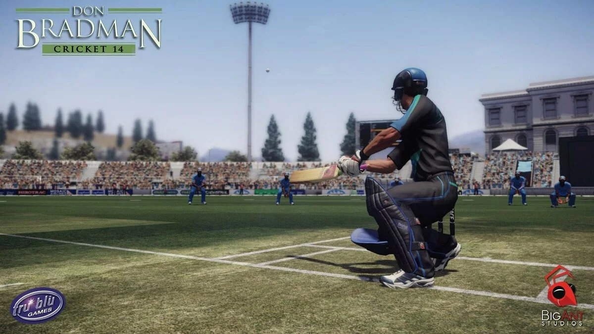 Скриншот из игры Don Bradman Cricket 14 - 14