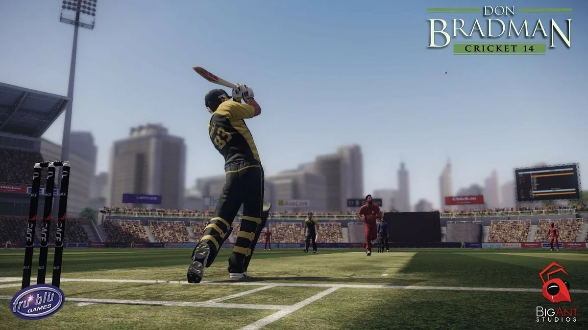 Скриншот из игры Don Bradman Cricket 14 - 25