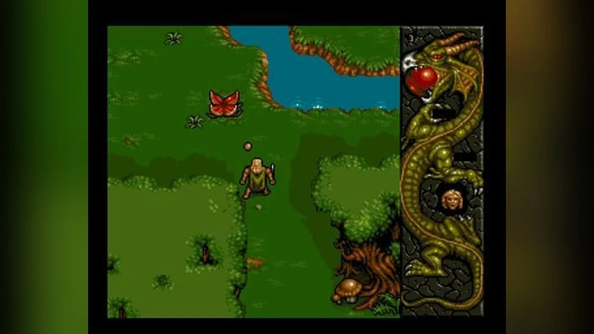 Скриншот из игры DragonStone - 6