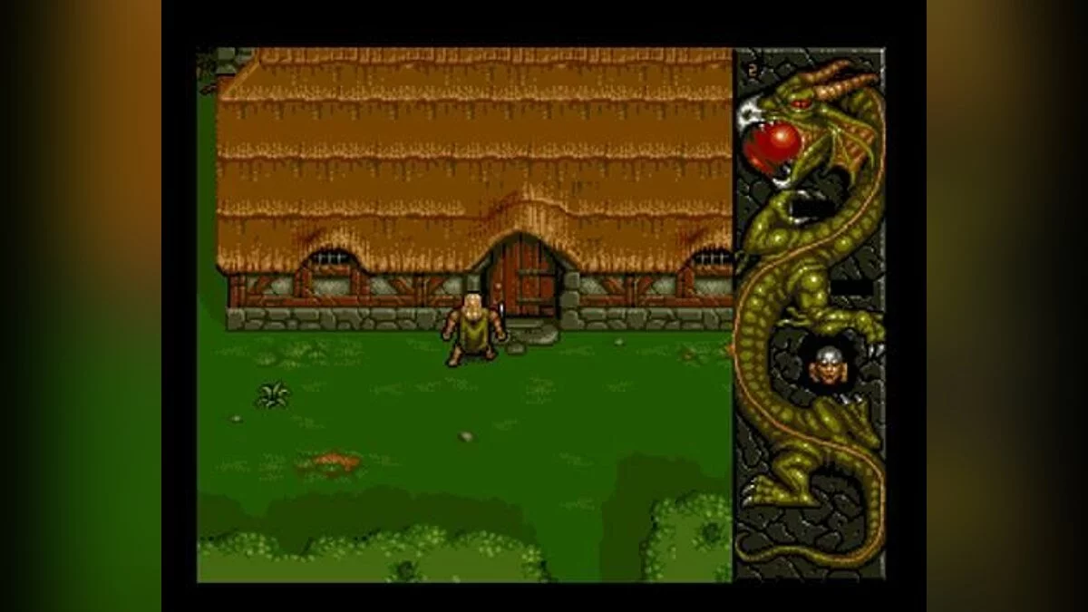 Скриншот из игры DragonStone - 8
