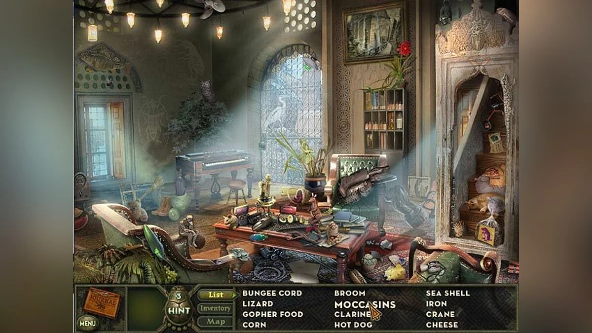 Скриншот из игры Hidden Expedition: Amazon - 15