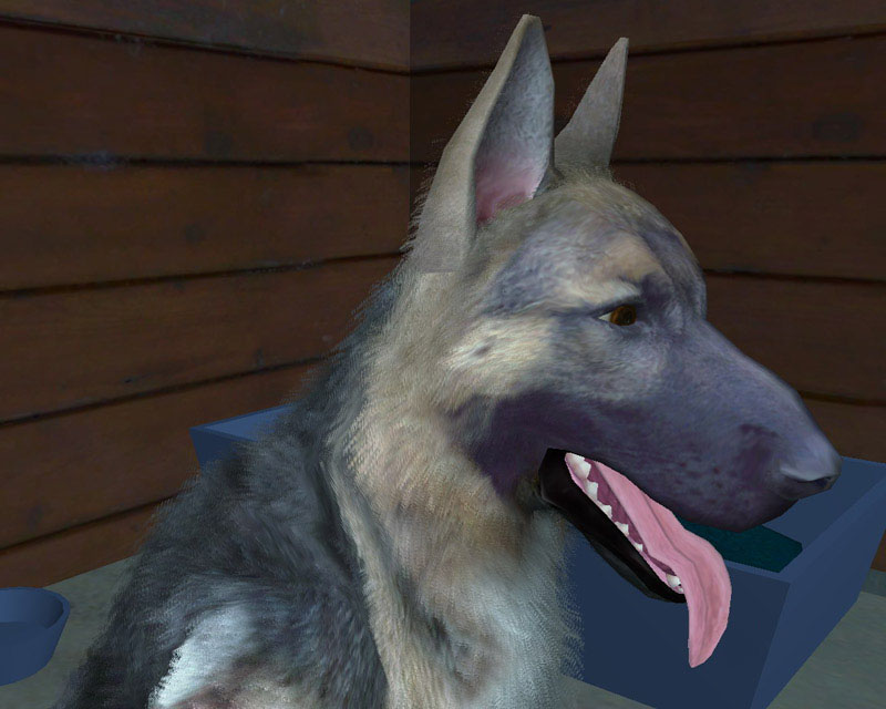 Скриншот из игры Fetch - 7