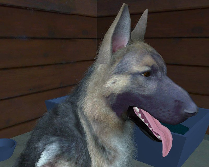 Скриншот из игры Fetch - 24