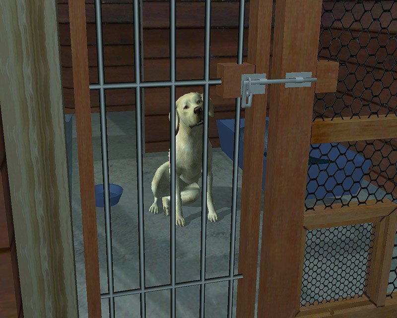 Скриншот из игры Fetch - 27