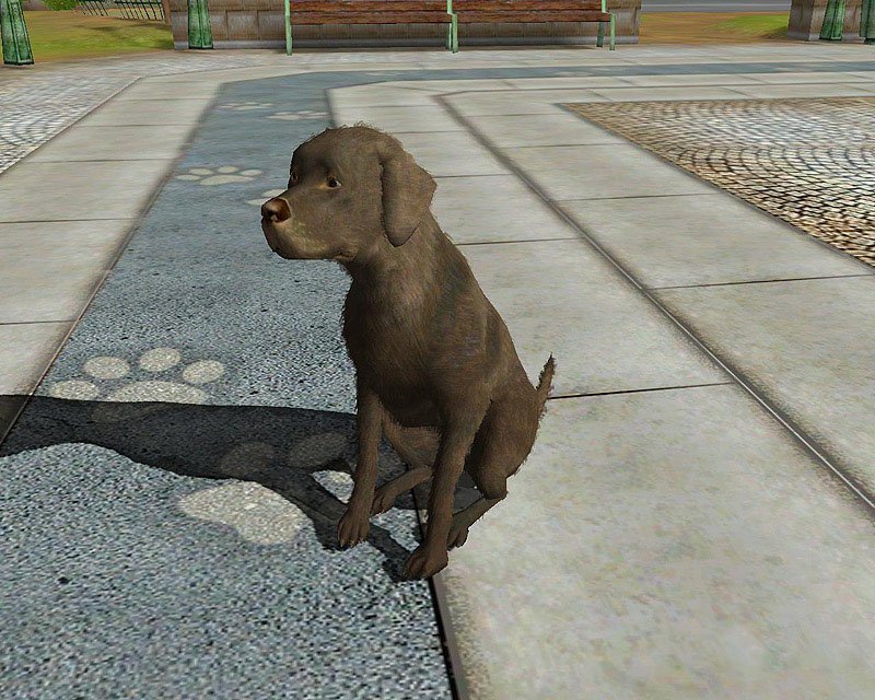 Скриншот из игры Fetch - 31