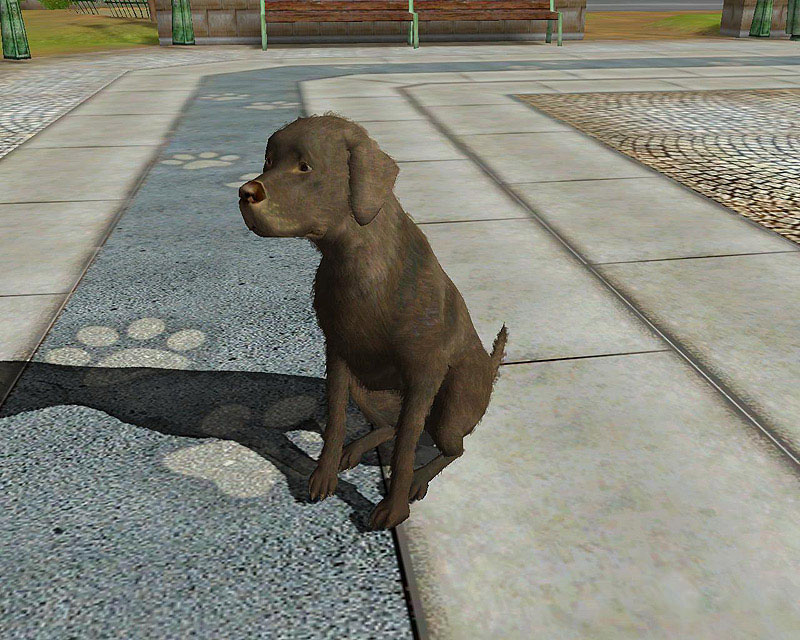 Скриншот из игры Fetch - 12