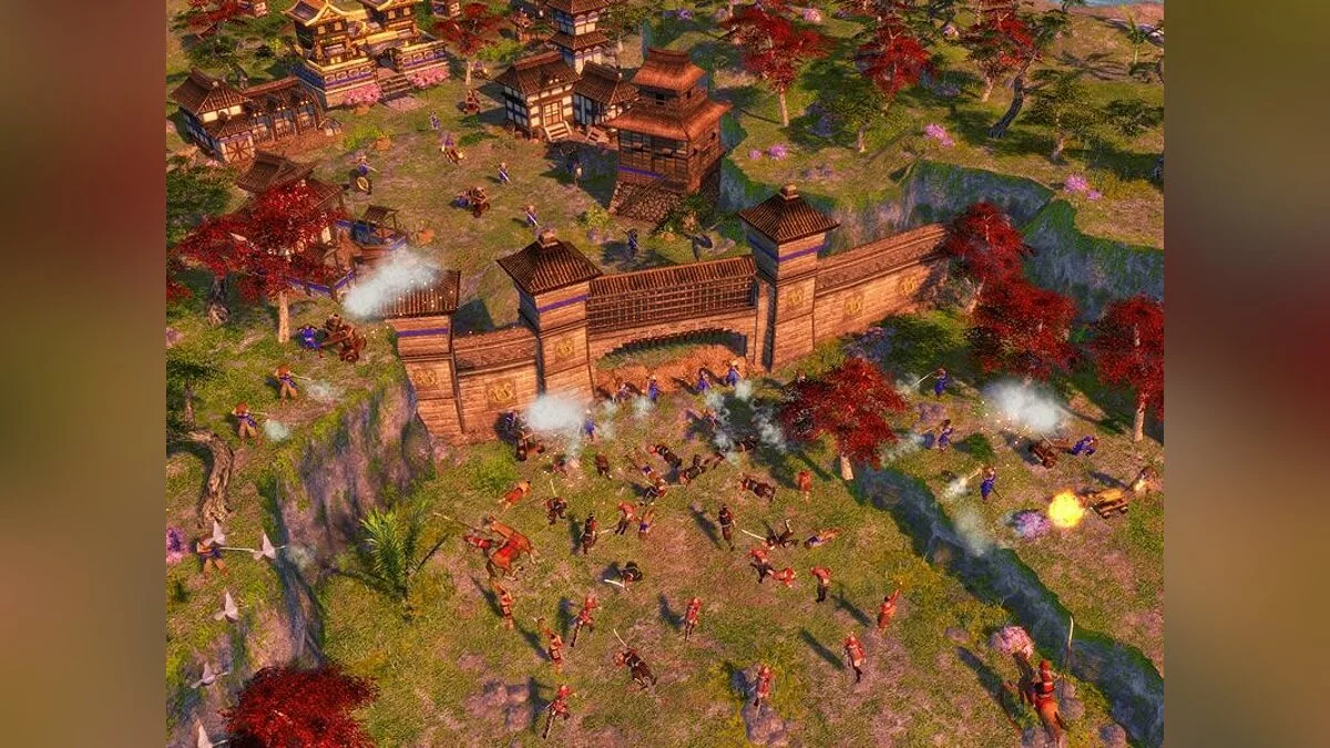 Скриншот из игры Age of Empires 3: The Asian Dynasties - 10