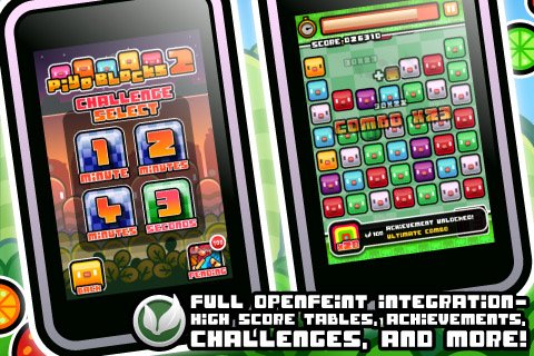 Скриншот из игры Piyo Blocks - 3