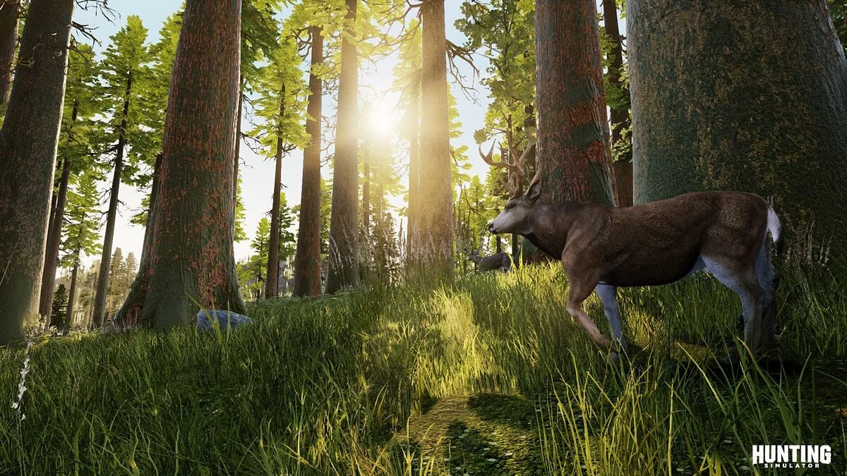 Скриншот из игры Hunting Simulator - 22