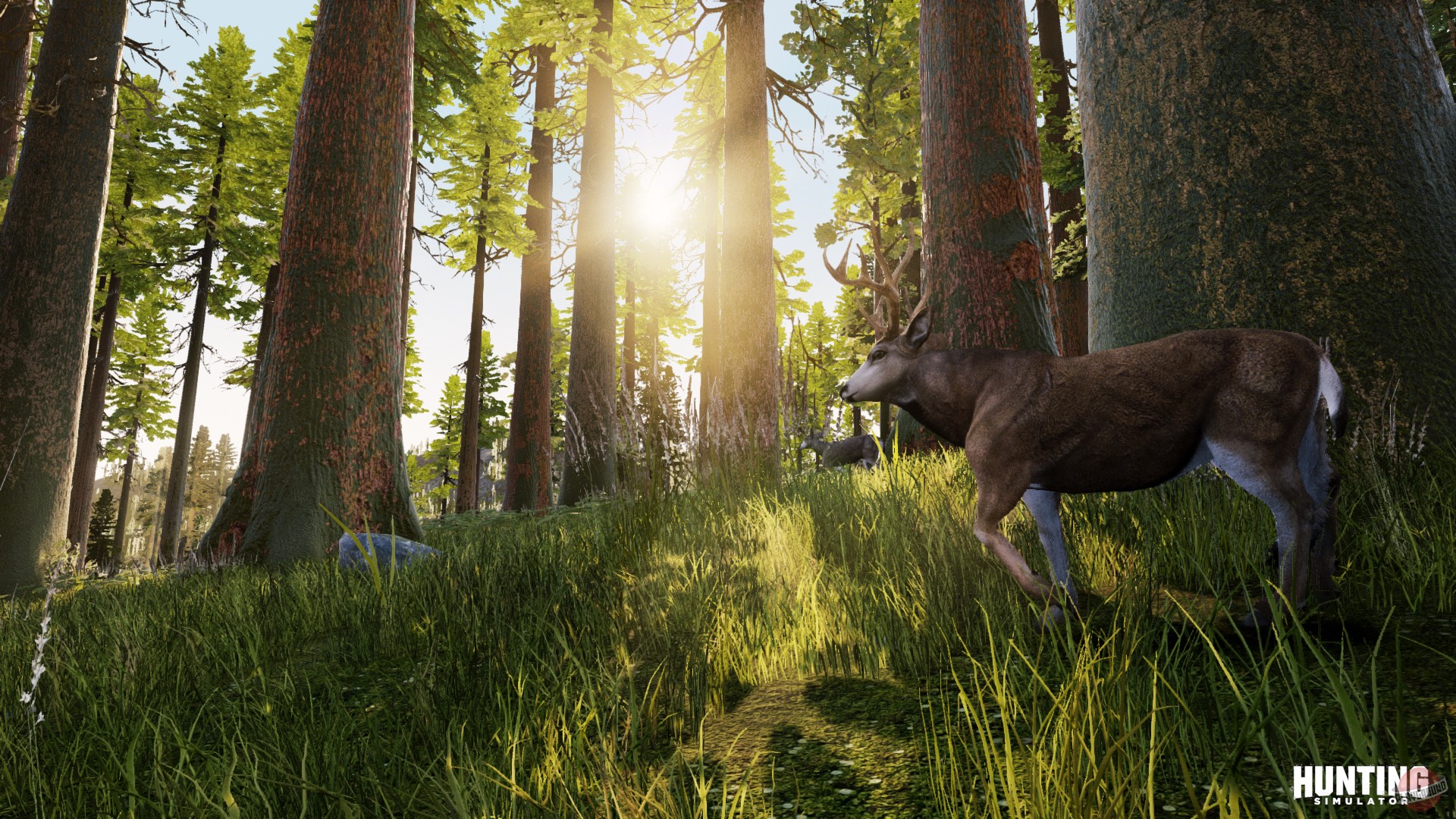 Скриншот из игры Hunting Simulator - 10