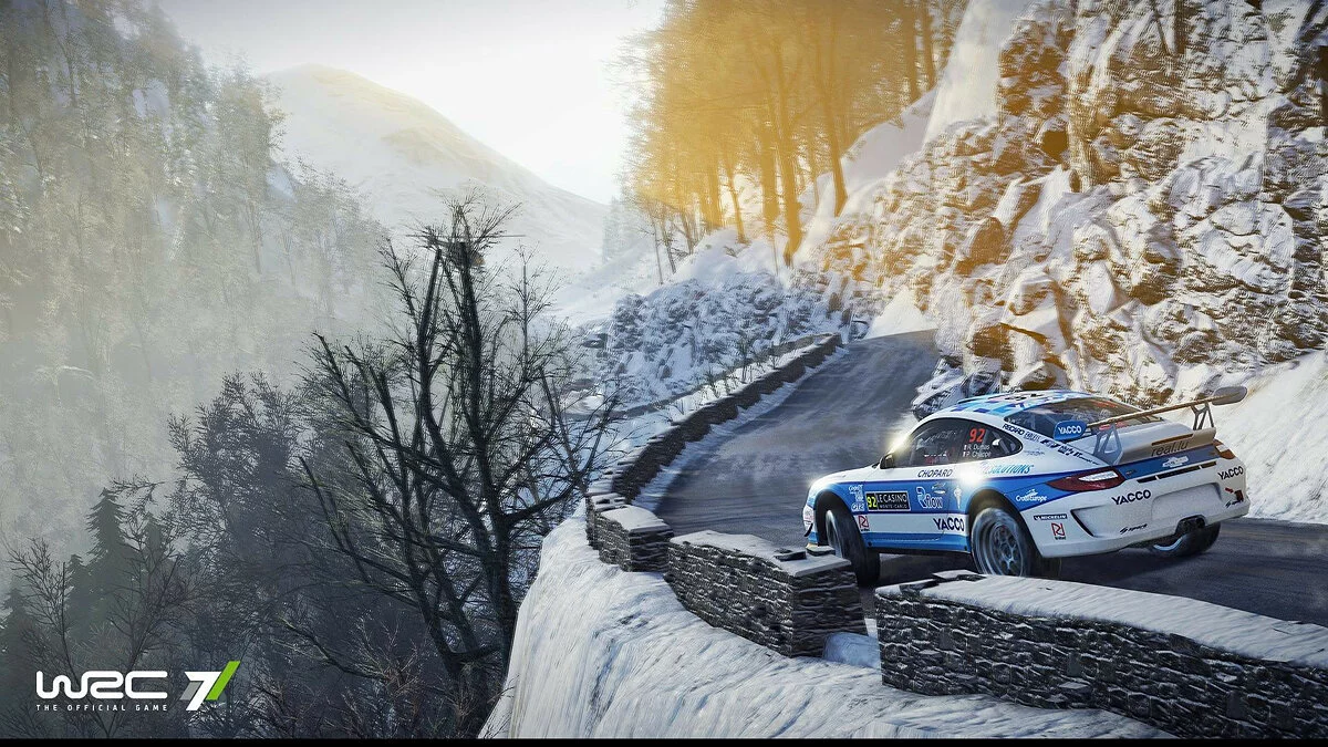 Скриншот из игры WRC 7 - 19