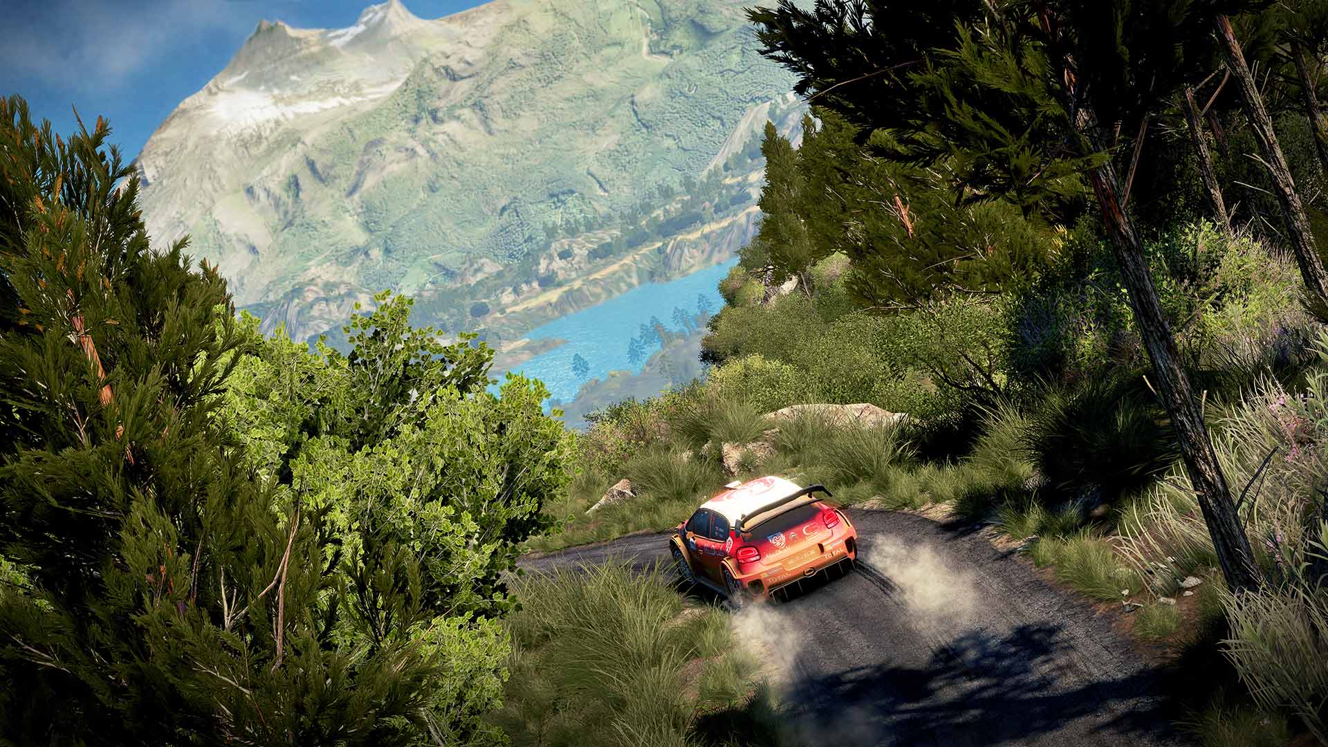 Скриншот из игры WRC 7 - 30