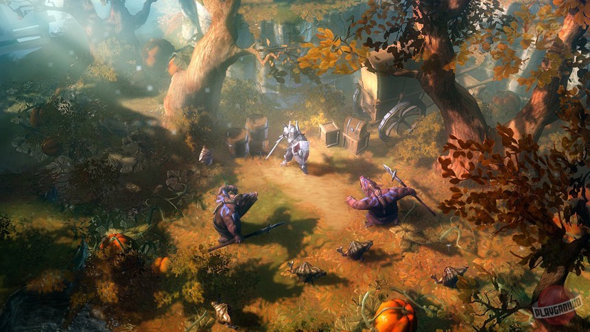 Скриншот из игры Drakensang Online - 43