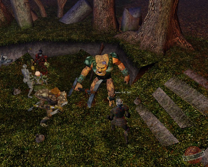 Скриншот из игры Neverwinter Nights - 41