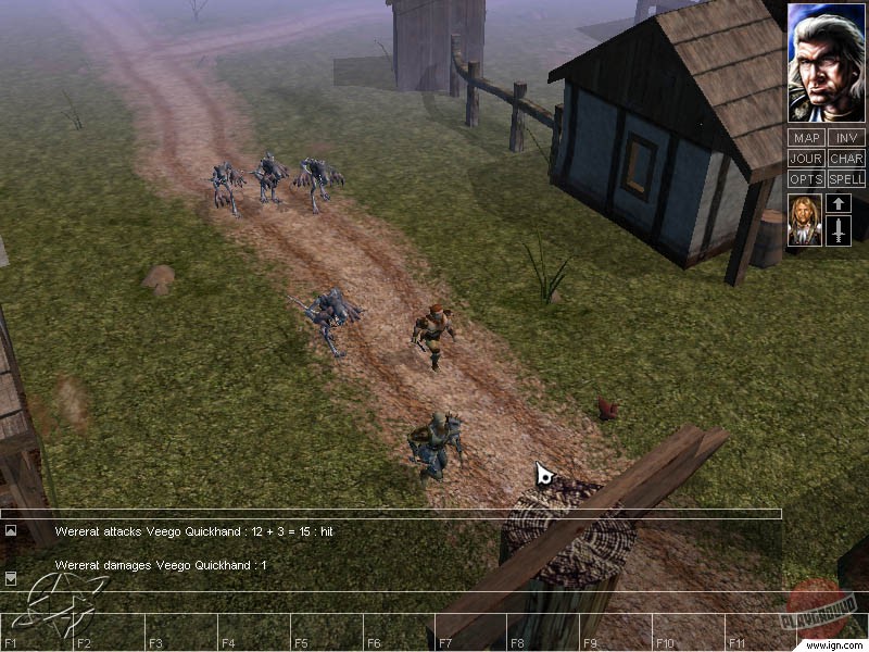Скриншот из игры Neverwinter Nights - 11