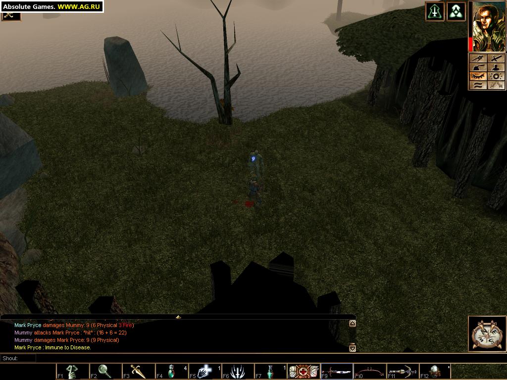 Скриншот из игры Neverwinter Nights - 135