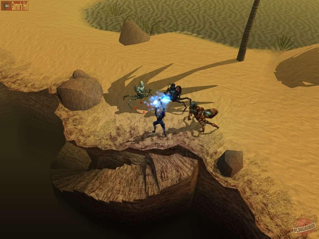 Скриншот из игры Neverwinter Nights - 18