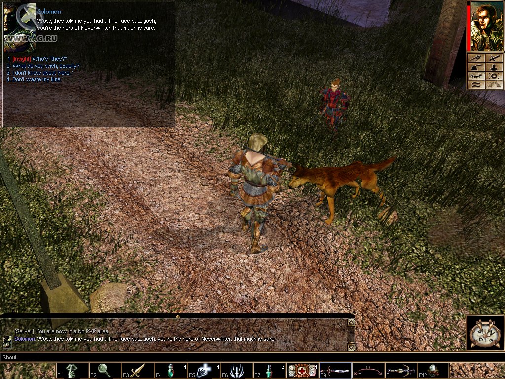 Скриншот из игры Neverwinter Nights - 144