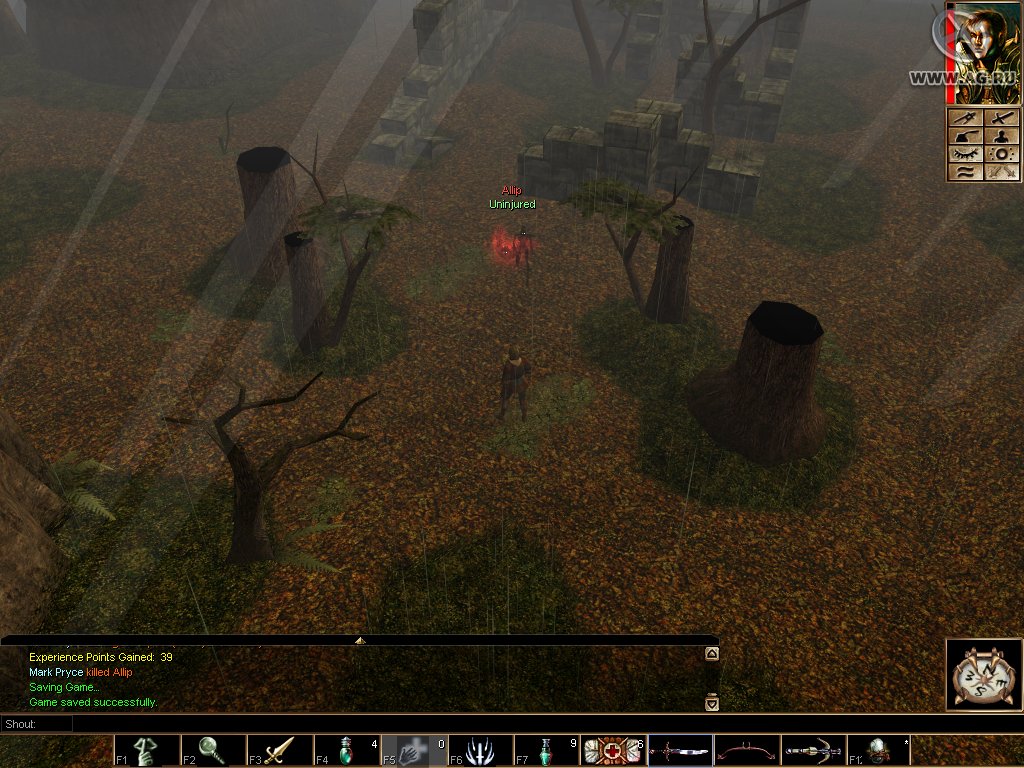 Скриншот из игры Neverwinter Nights - 65