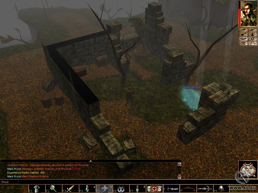 Скриншот из игры Neverwinter Nights - 141