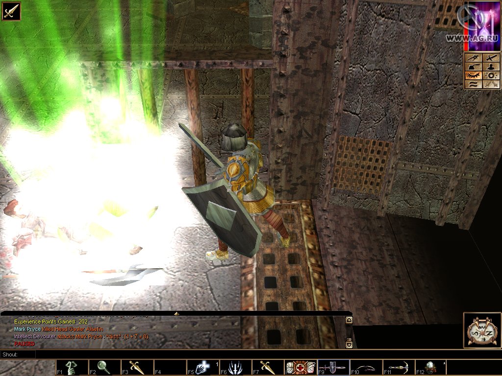 Скриншот из игры Neverwinter Nights - 103