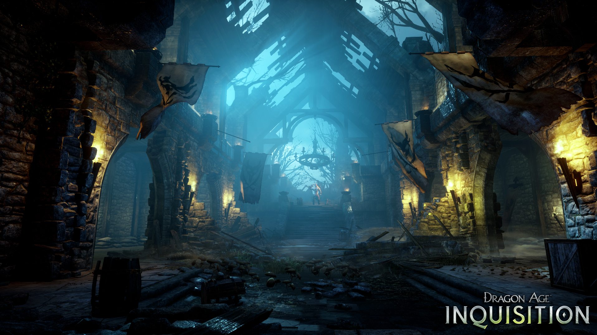 Скриншот из игры Dragon Age: Inquisition - The Descent - 31