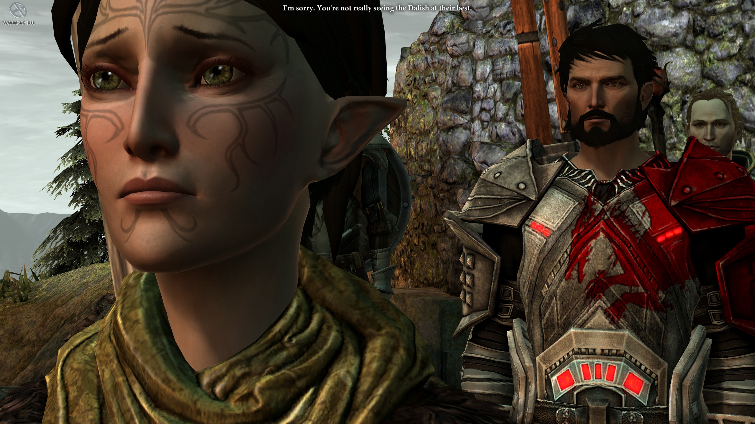 Скриншот из игры Dragon Age 2 - 151