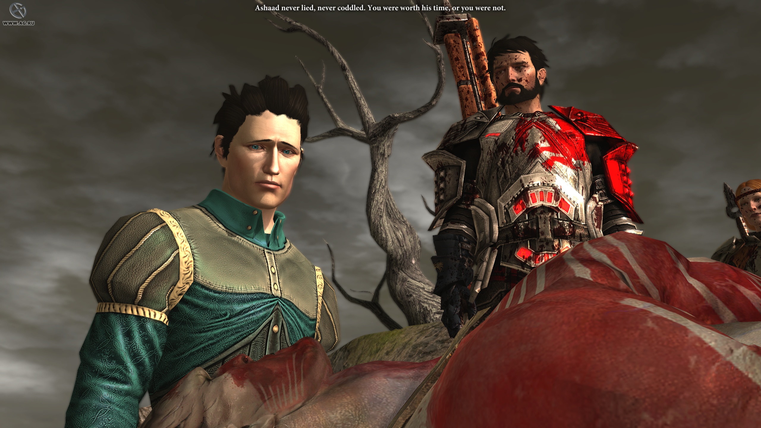 Скриншот из игры Dragon Age 2 - 257