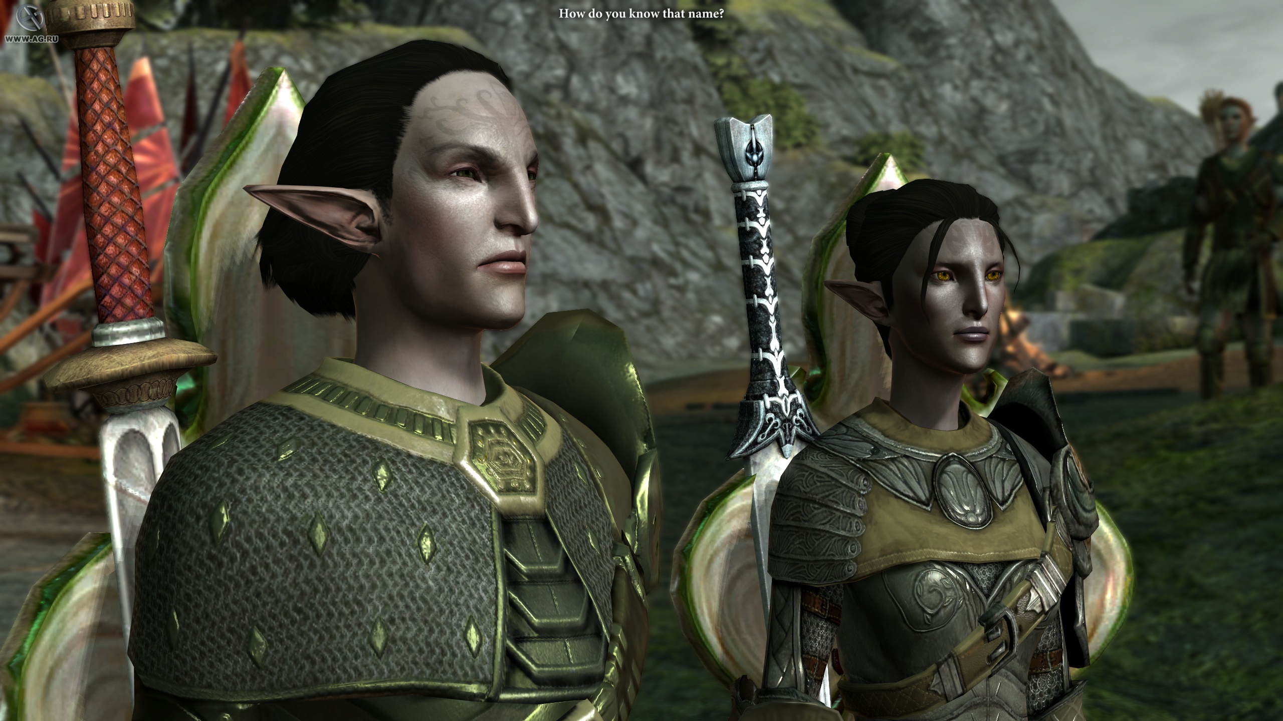 Скриншот из игры Dragon Age 2 - 84