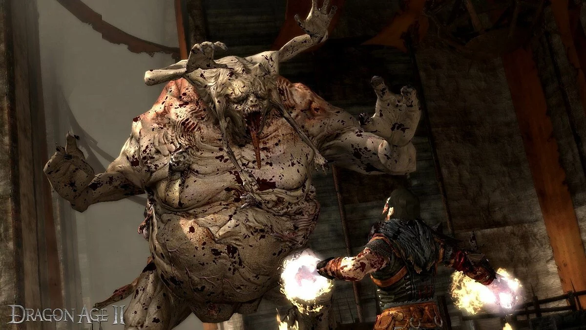 Скриншот из игры Dragon Age 2 - 116
