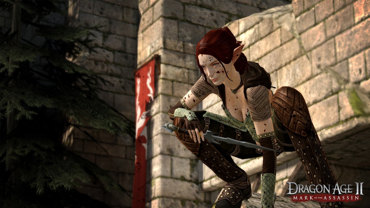 Скриншот из игры Dragon Age II: Mark of the Assassin - 12
