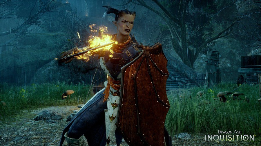 Скриншот из игры Dragon Age: Inquisition - 204