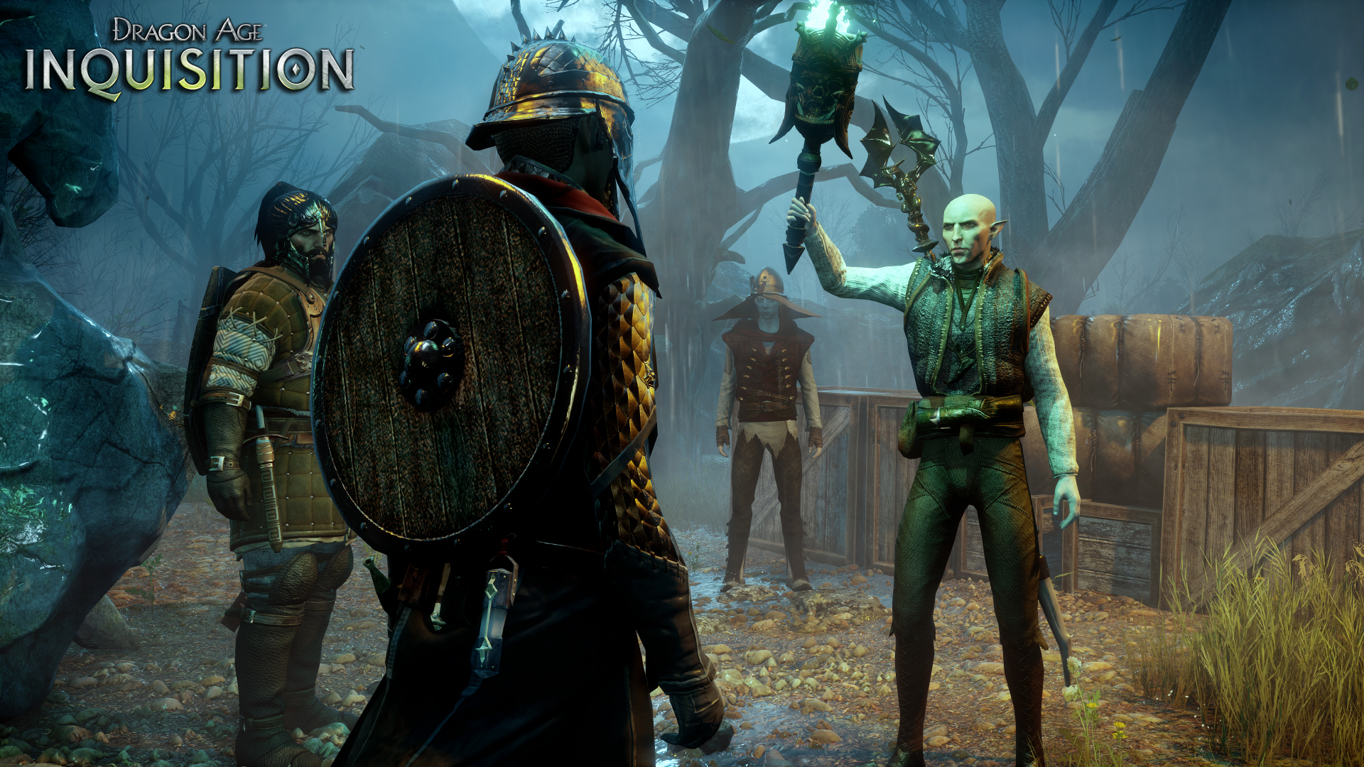 Скриншот из игры Dragon Age: Inquisition - 285