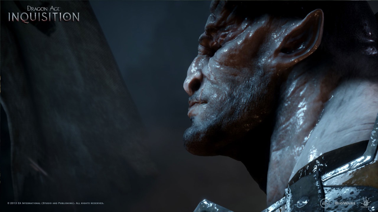 Скриншот из игры Dragon Age: Inquisition - 316